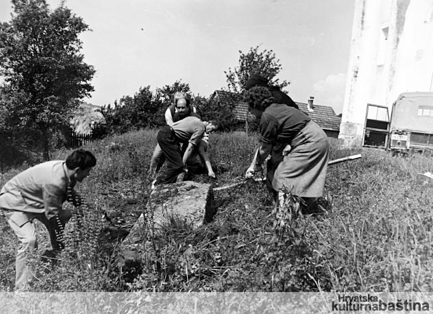 Buk_imagelarge-kultura_BW_veliki