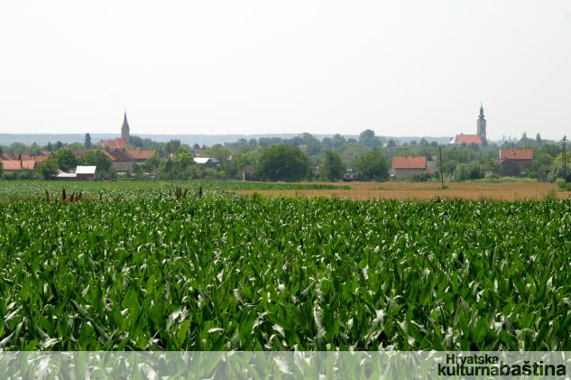 Zmajevac_imagelarge-kultura_BW_veliki