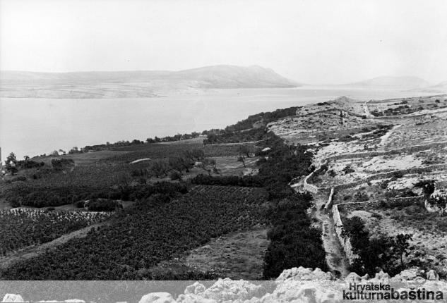 Caska_imagelarge-kultura_BW_veliki