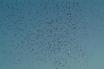 DSCF1441.jpg