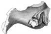 385a.jpg