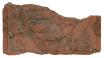 DSCF0247.jpg