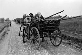 Poganovci - Romska obitelj na putu; 1958.